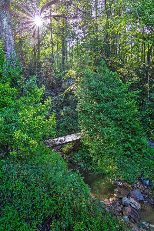 Shaw Creek With Fire Pit And Forest Views * Hendersonville